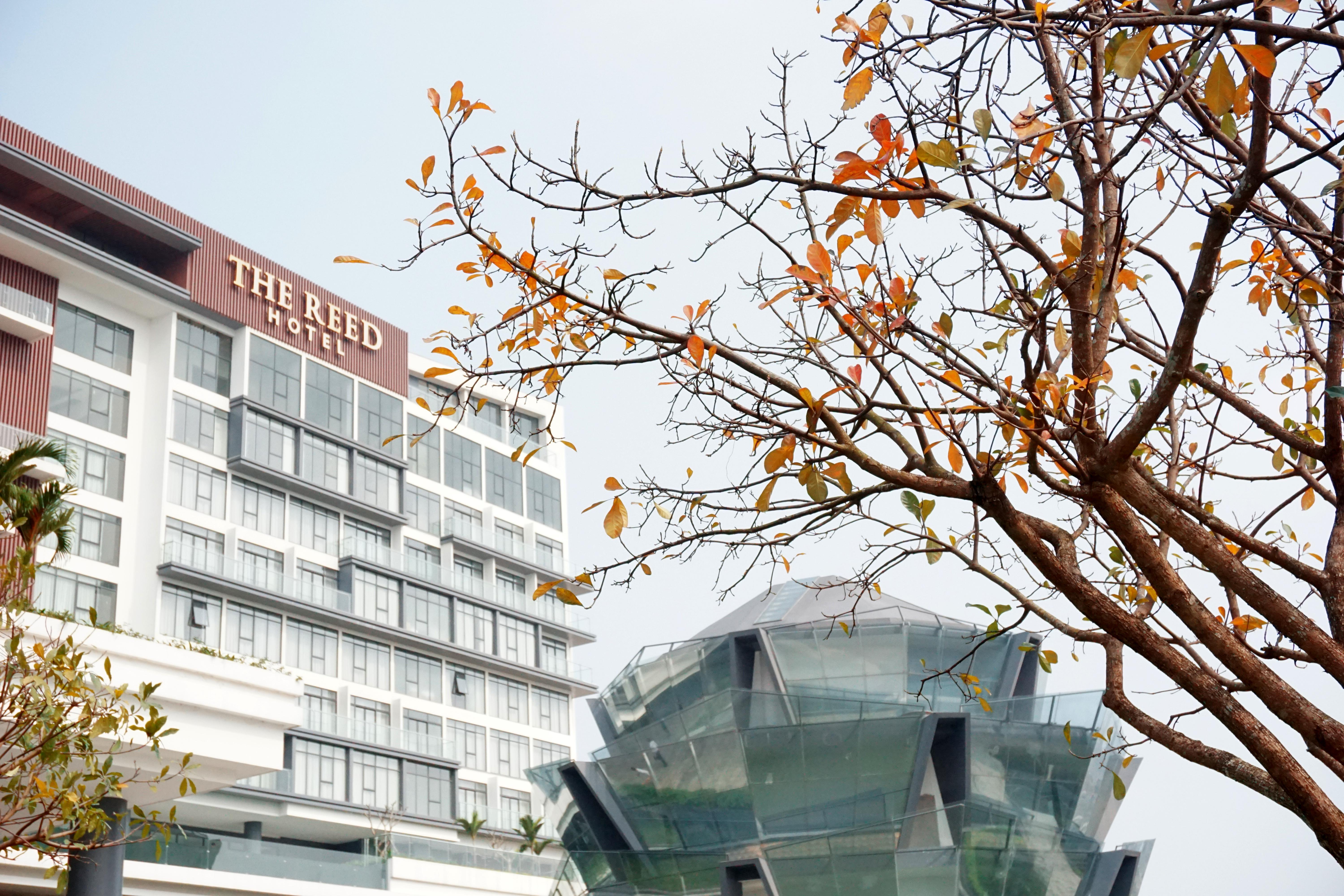The Reed Hotel Ninh Binh Dış mekan fotoğraf